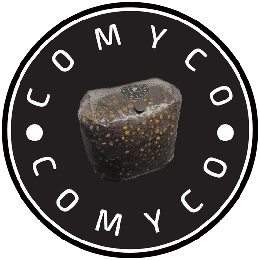 3 LB All-In-One Popcorn Grow Bag