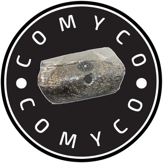 5 LB All-In-One Popcorn Grow Bag