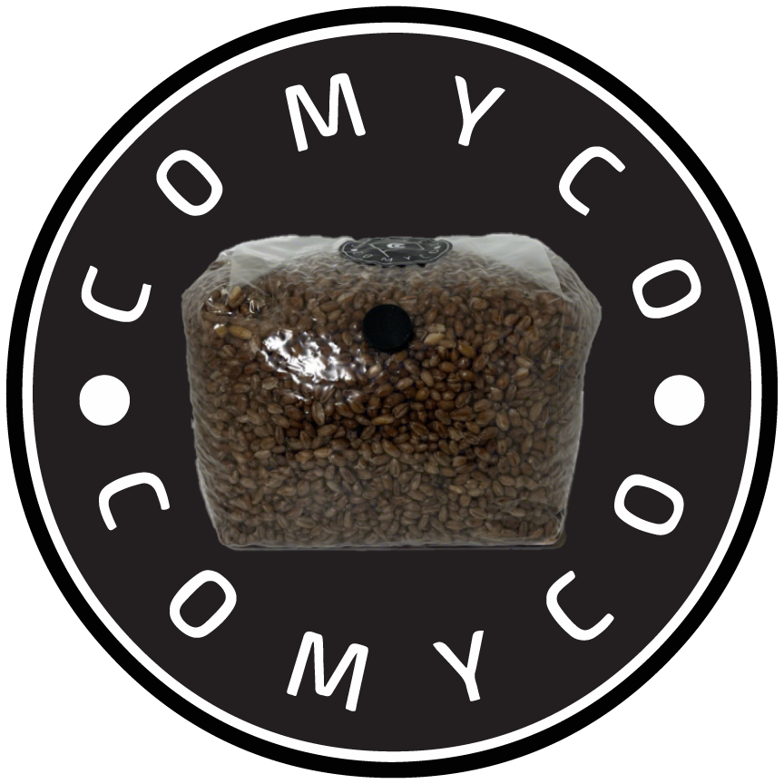 3 LB Grain Spawn Bag