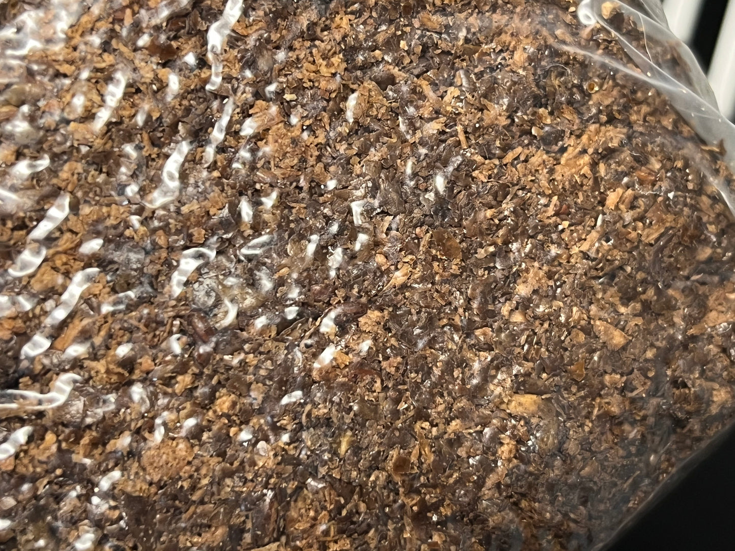 Masters Mix Substrate (5LB)