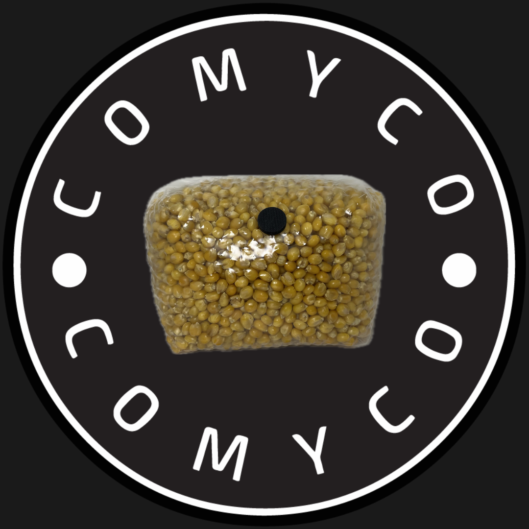 3 LB Grain Spawn Bag – CoMyCo